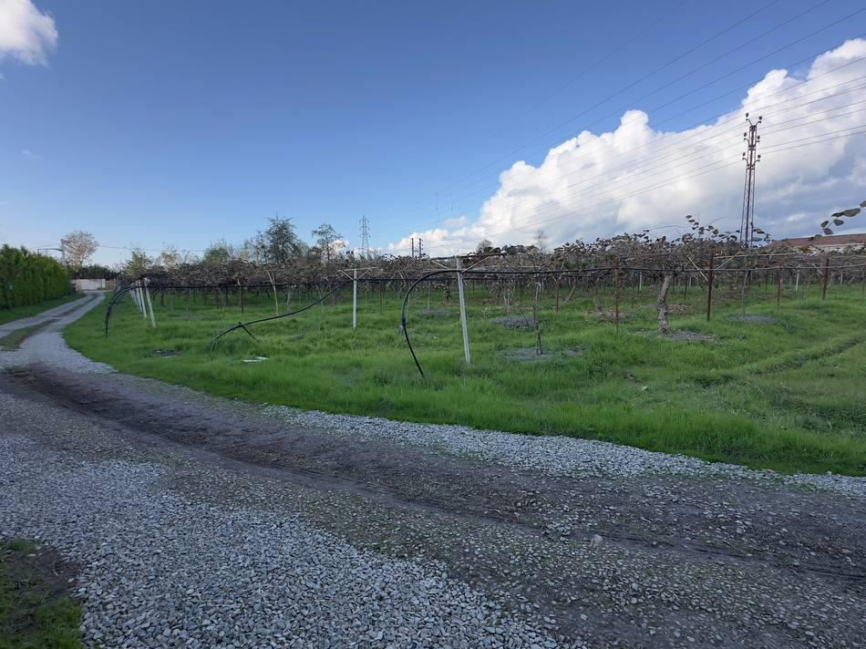 ورودی اقامتگاه