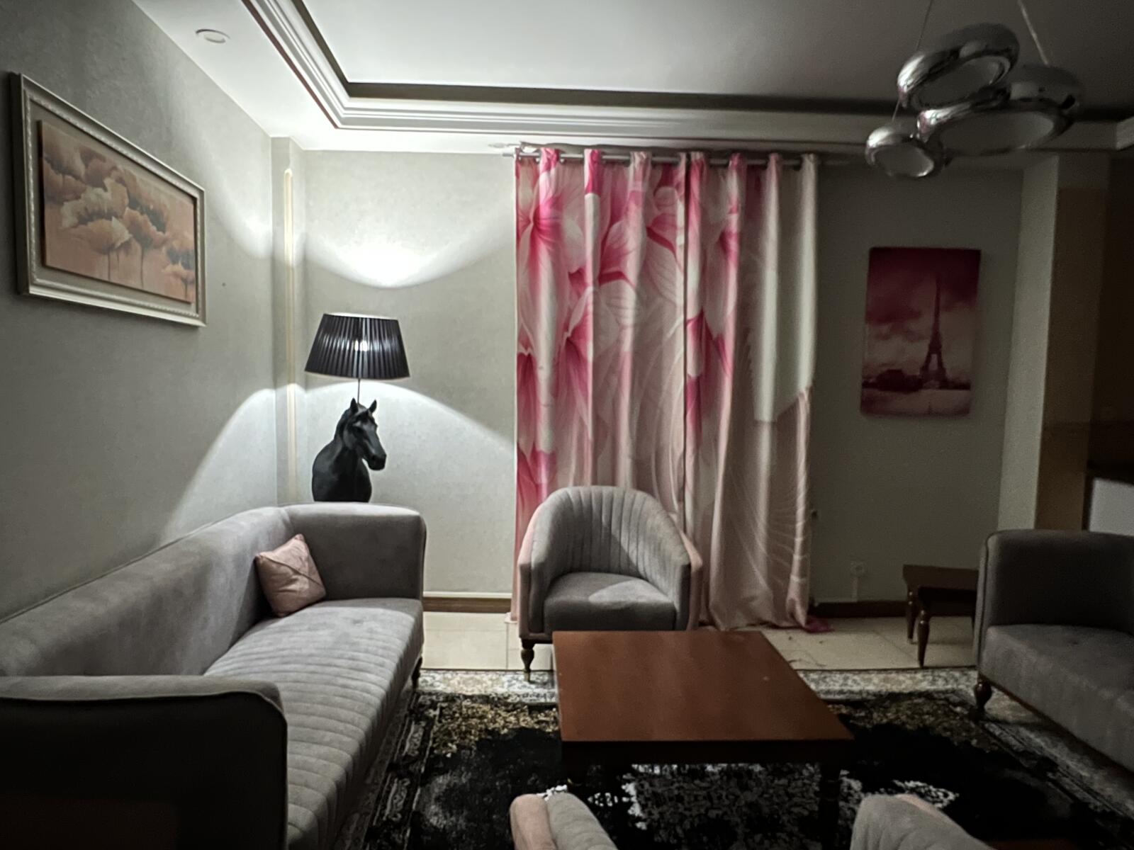 اتاق پذیرایی اتاق پذیرایی