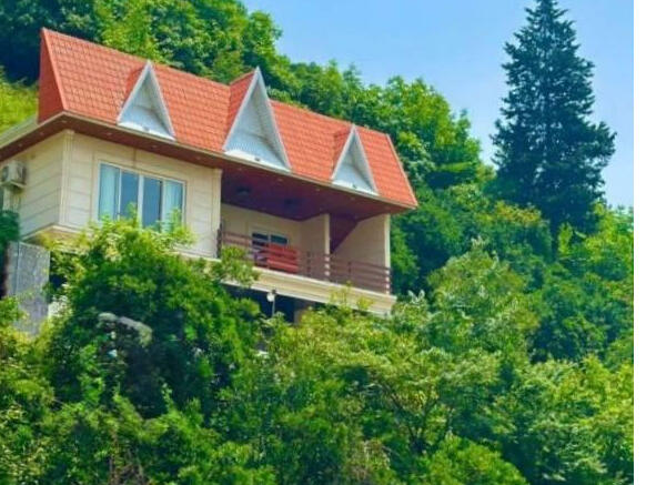 نمای ساختمان نمای ساختمان