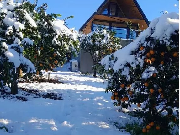 ورودی اقامتگاه ورودی اقامتگاه