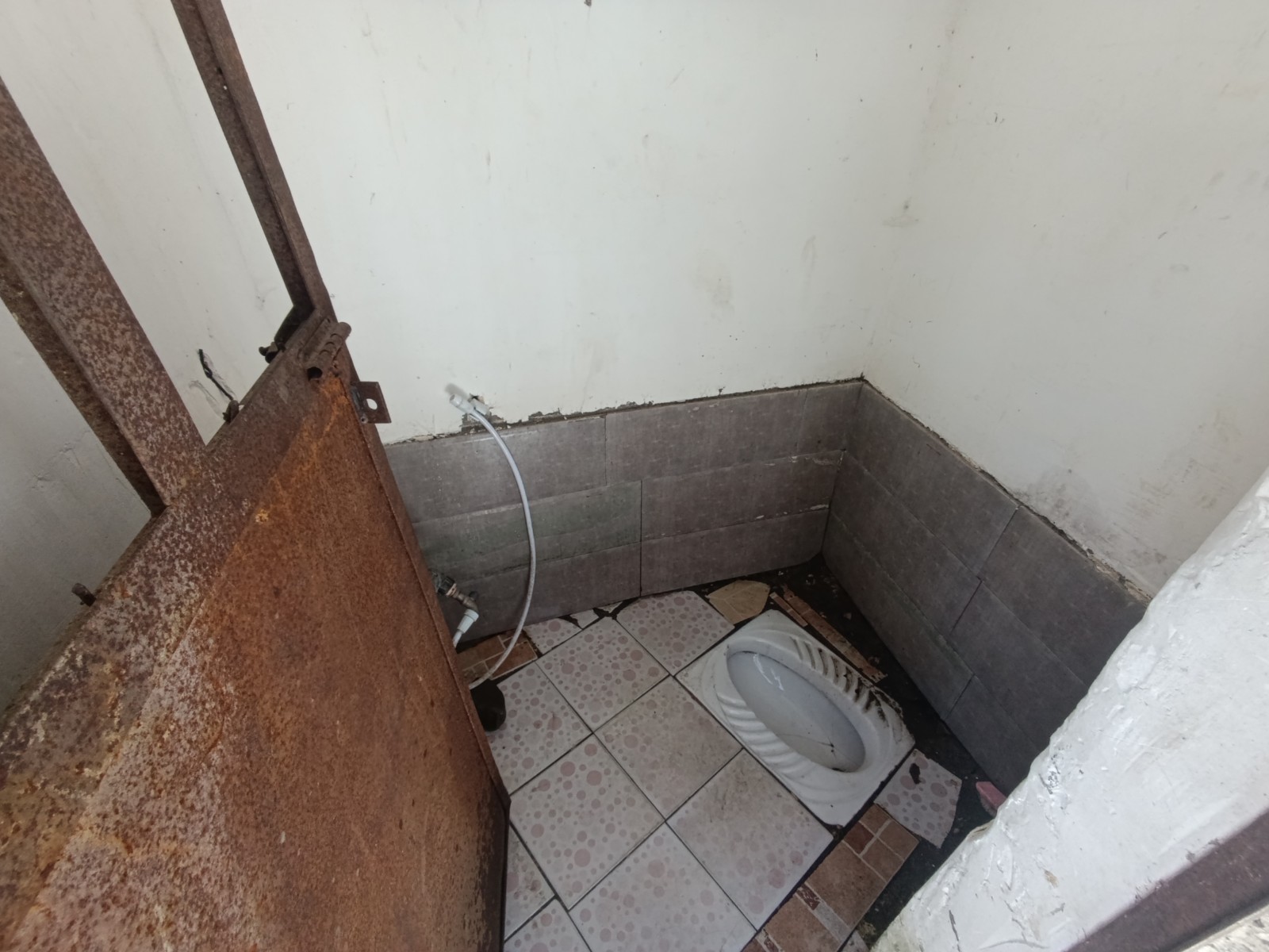 سرویس بهداشتی