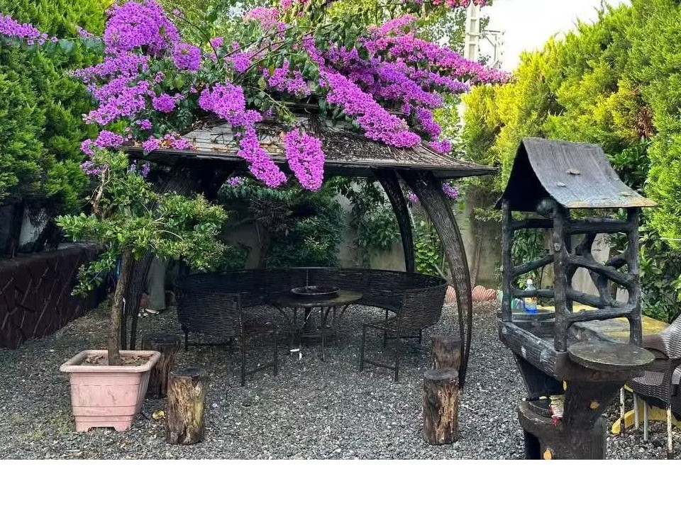 باربیکیو وآلاچیق باربیکیو وآلاچیق