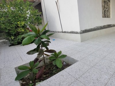ویلای دو خواب در "قشم"