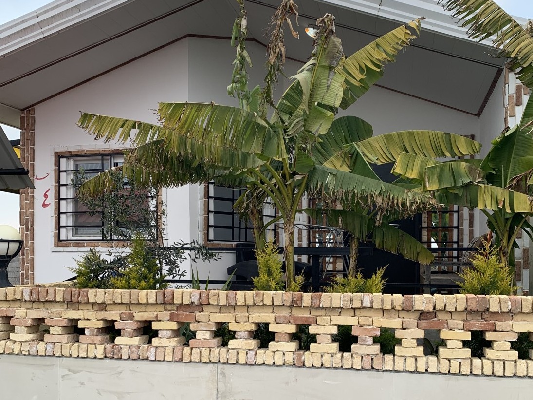 نمای ساختمان نمای ساختمان