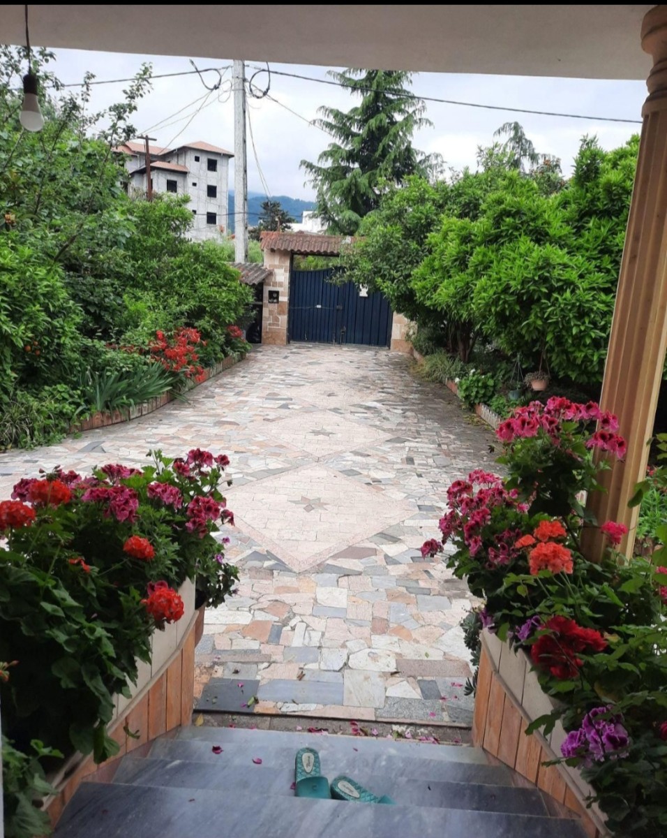 حیاط