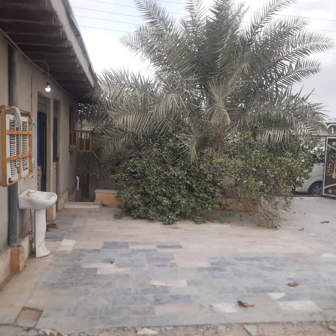 حیاط