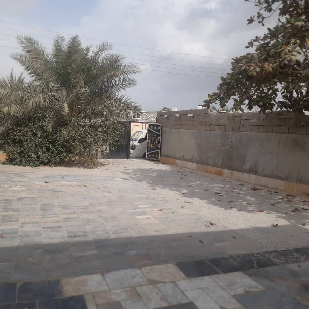 حیاط