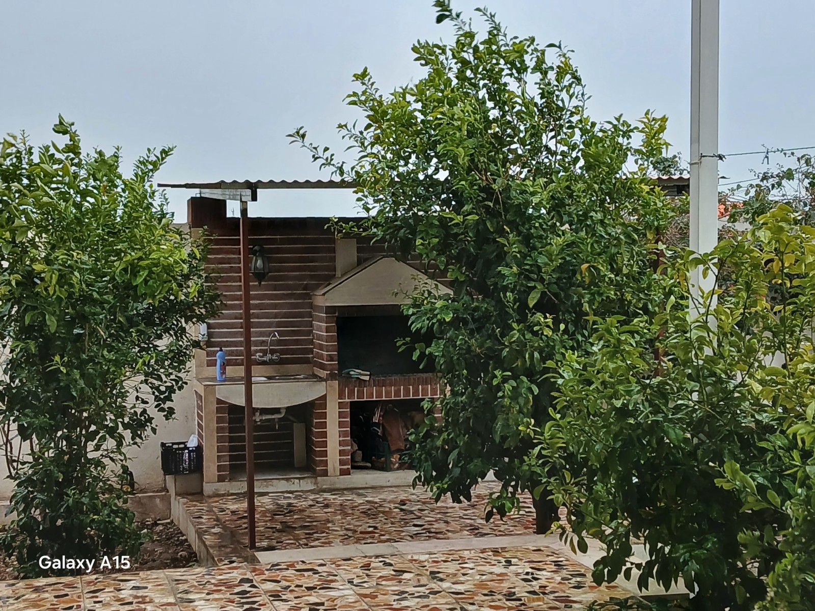 باربیکیو