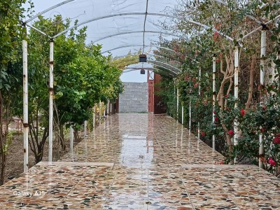 باغ ویلای "کاکتوس"