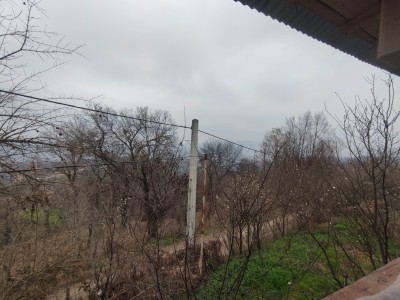 ریگ چشمه ریگ چشمه