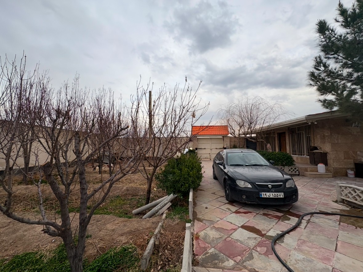 حیاط