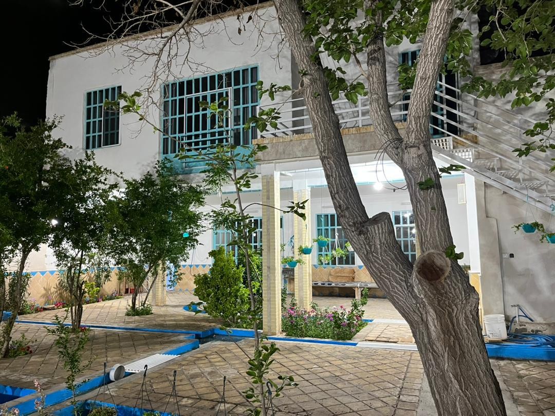 حیاط