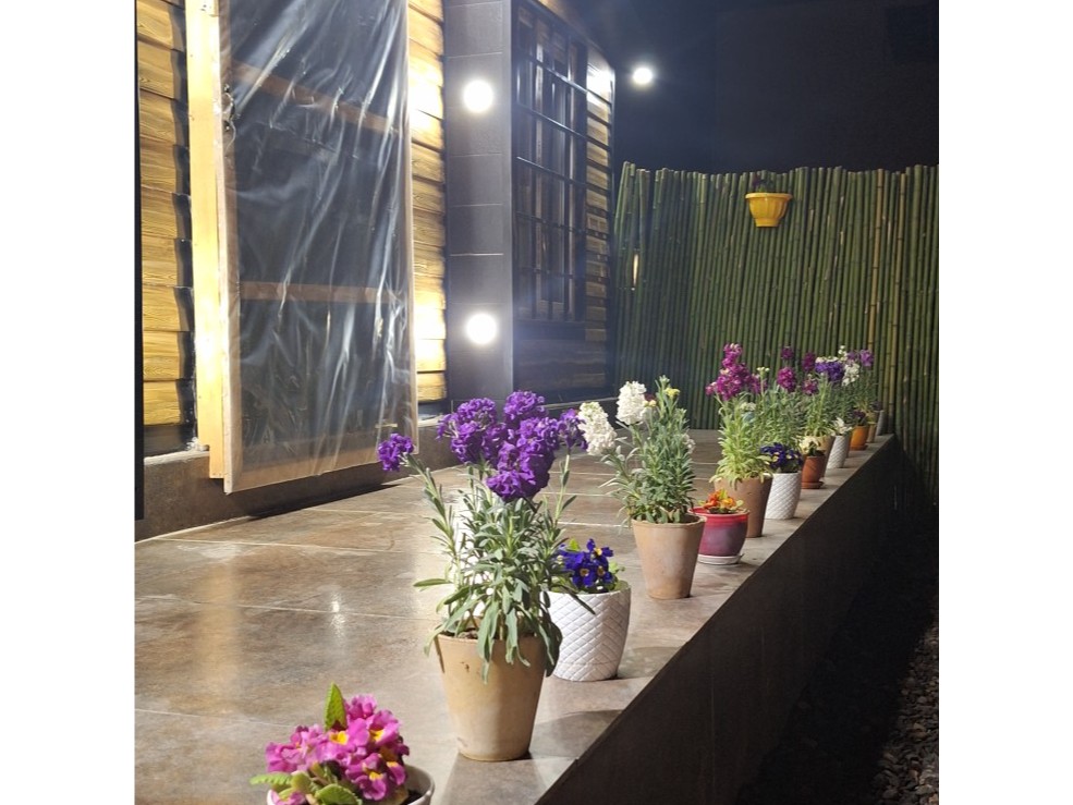 نمای ساختمان