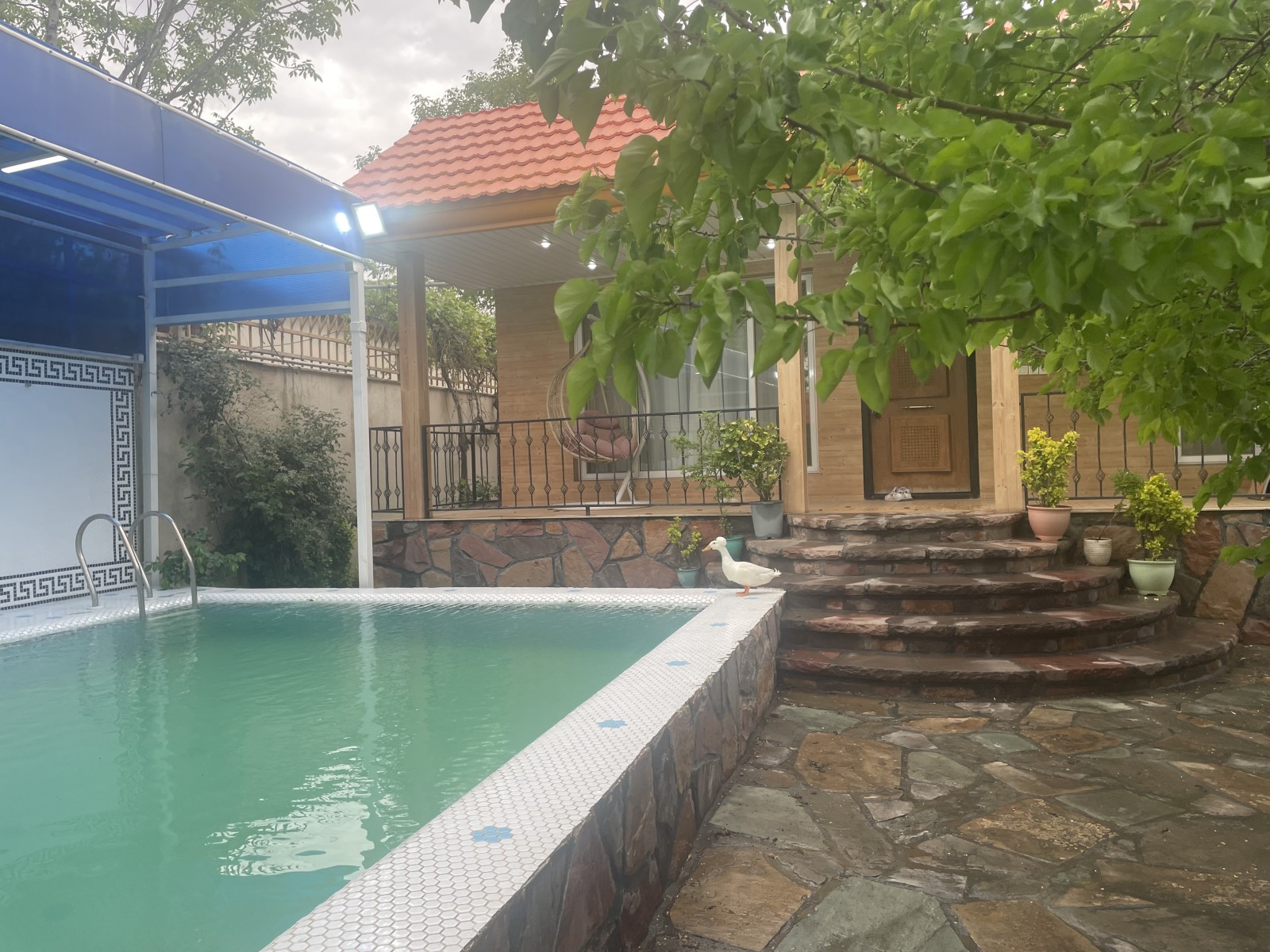 فضای زیبای استخر و حیاط فضای زیبای استخر و حیاط