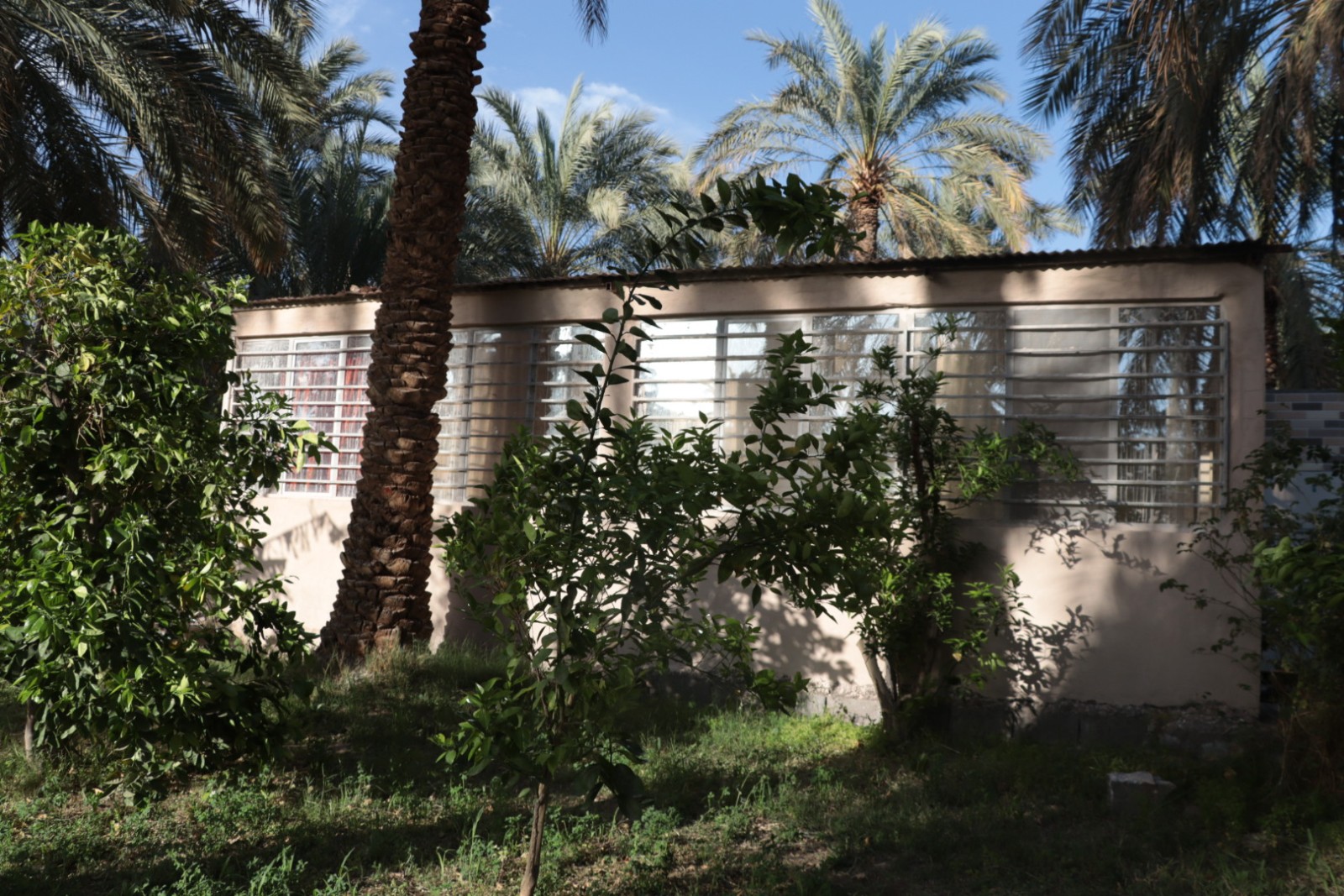 حیاط