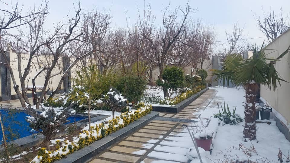 حیاط
