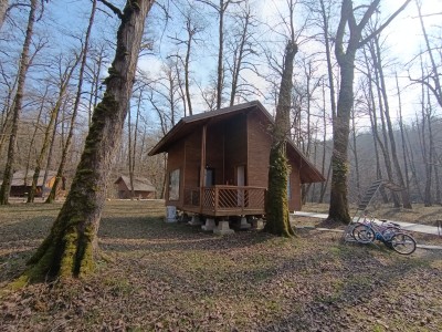 ویلا جنگلی دو نفره میزبان ویلا جنگلی دو نفره میزبان