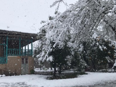 اقامتگاه بومگردی رافا "اتاق لرگ"