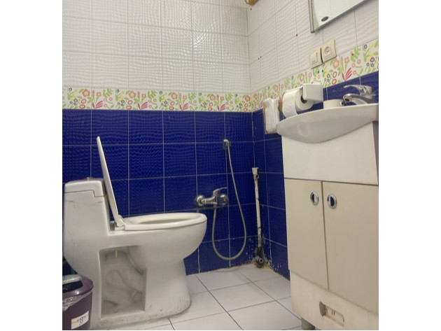سرویس بهداشتی