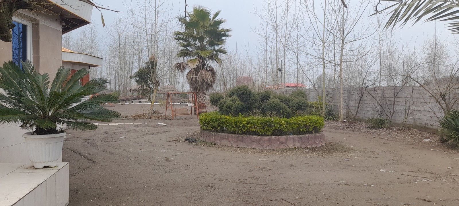 حیاط