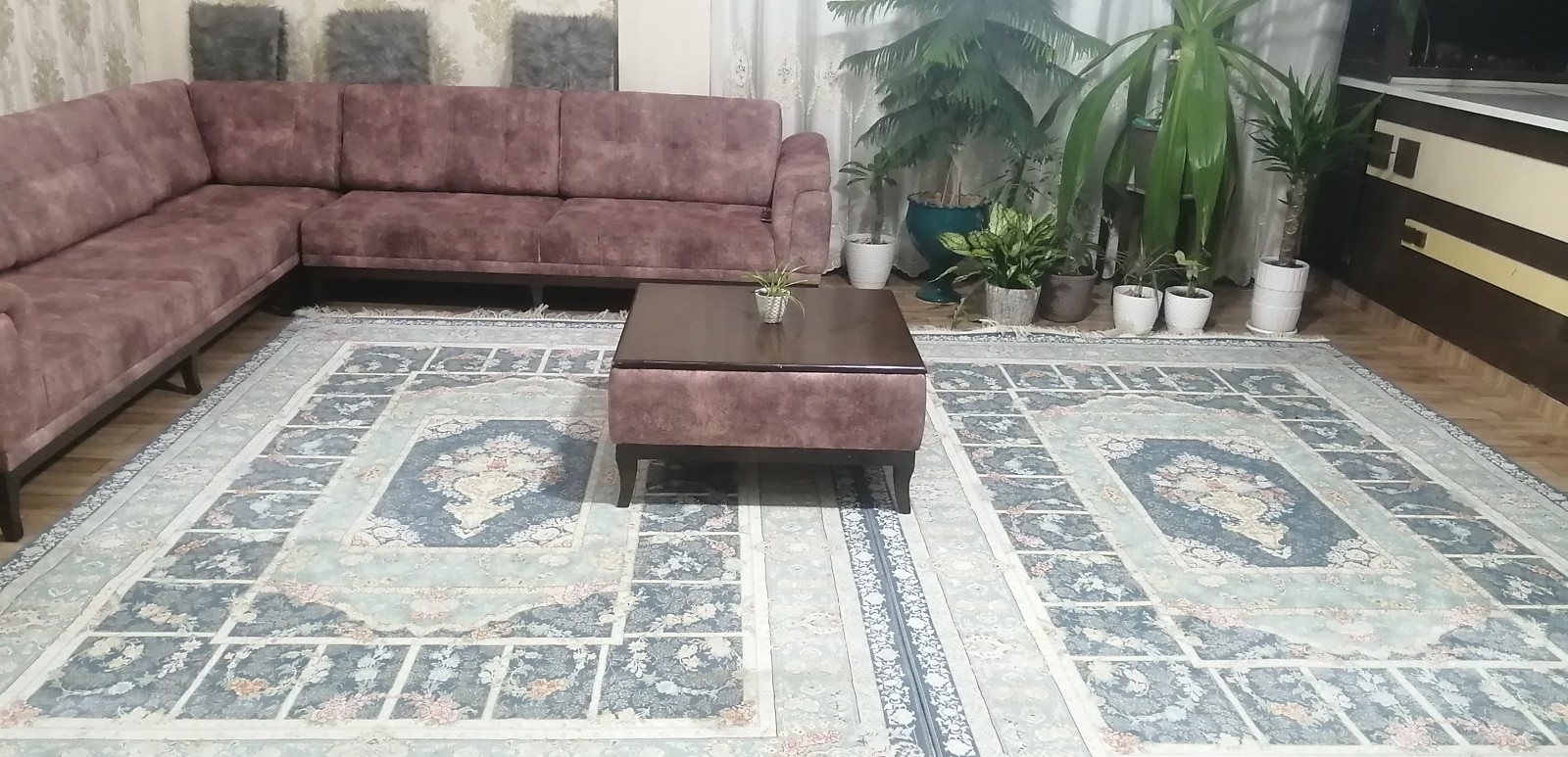 اتاق پذیرایی