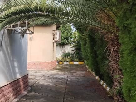 حیاط