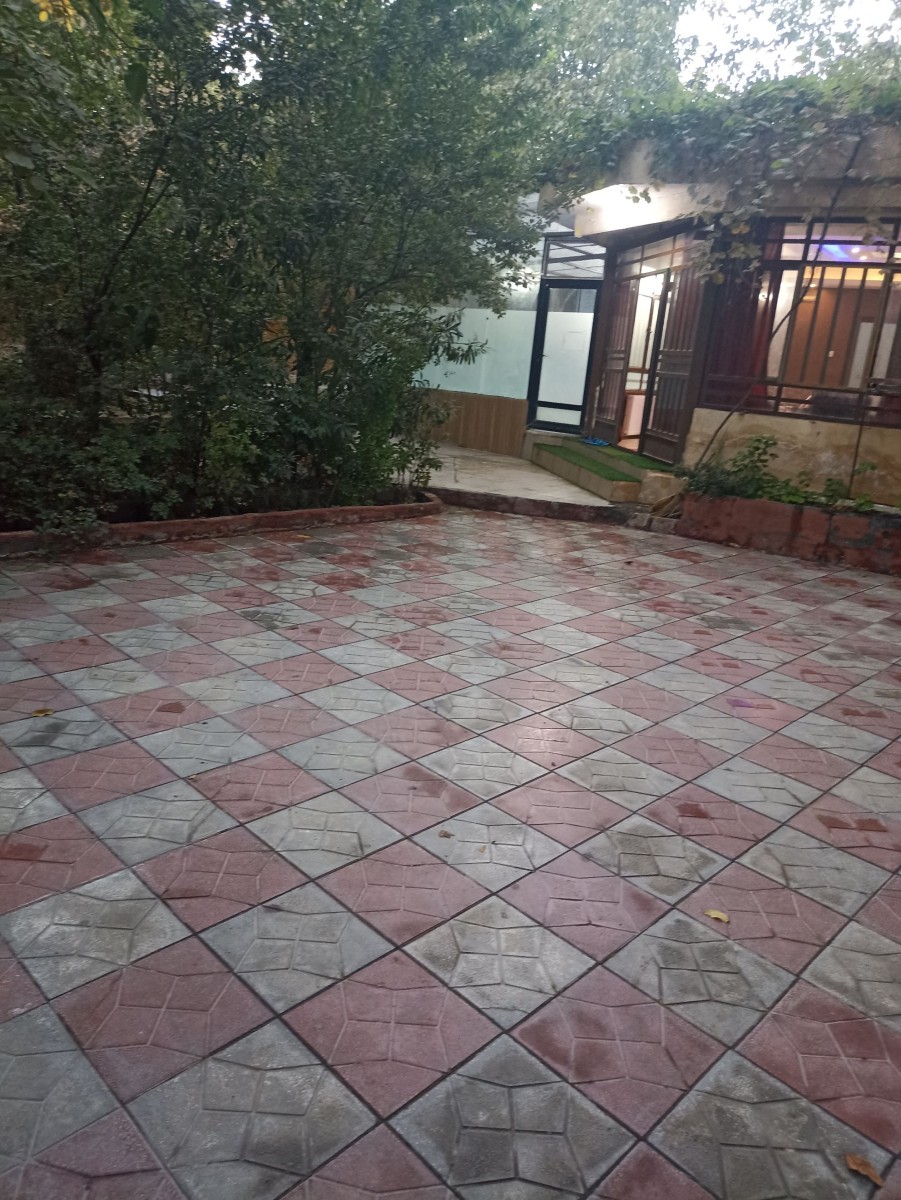 حیاط
