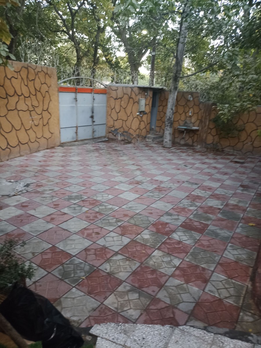 حیاط