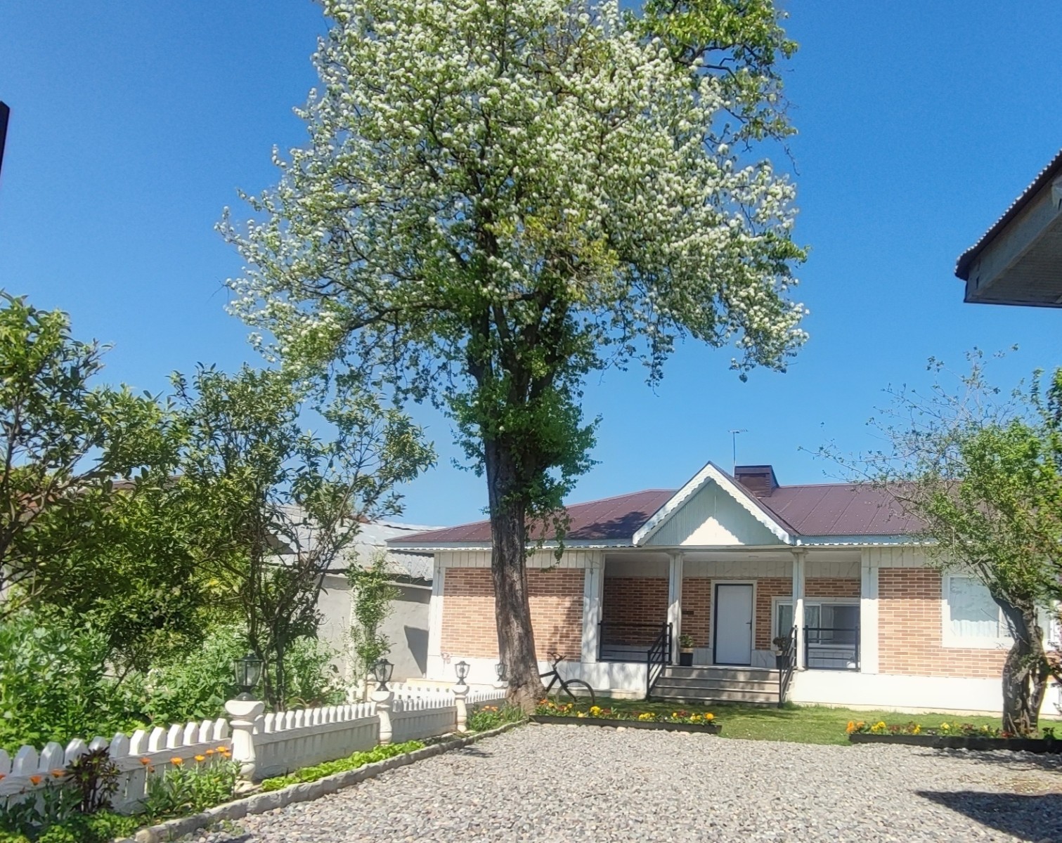نمای ساختمان