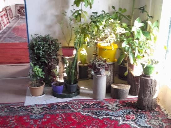 اتاق پذیرایی