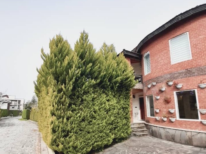 نمای ساختمان