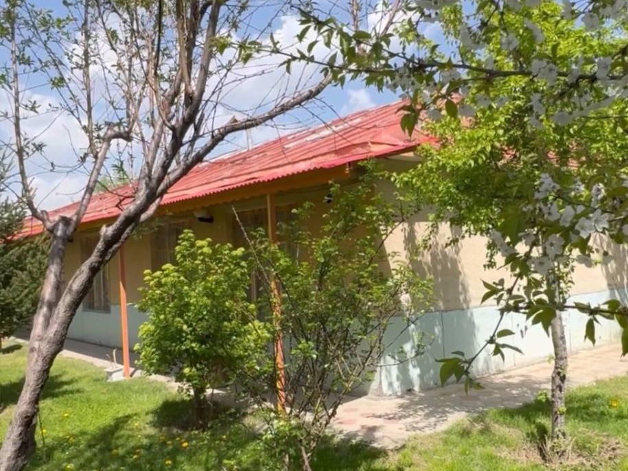 حیاط