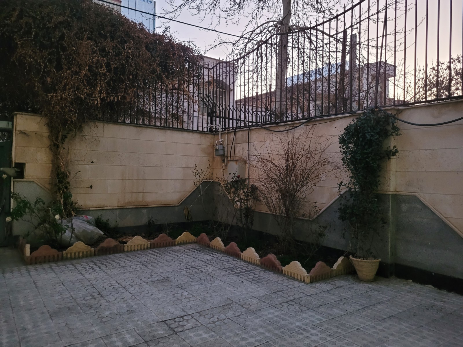 حیاط