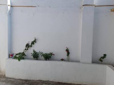 اقامتگاه دو خوابه "چمبو" در قشم