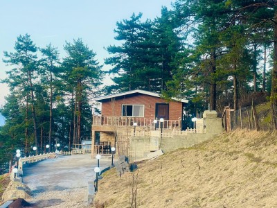 کلبه در دل جنگل با چشم انداز شگفت انگیز