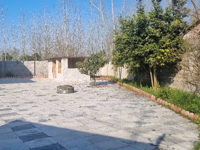 حیاط