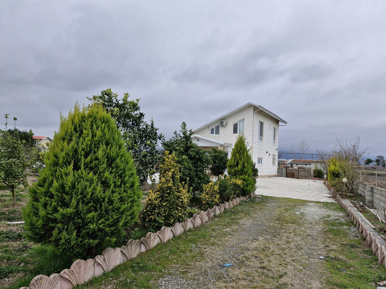 حیاط