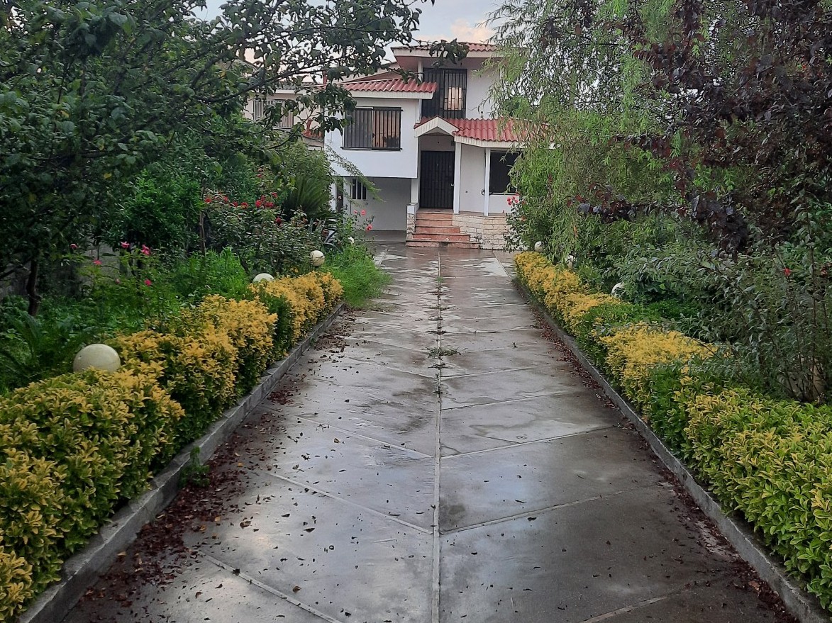 حیاط