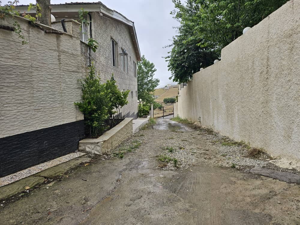 کوچه