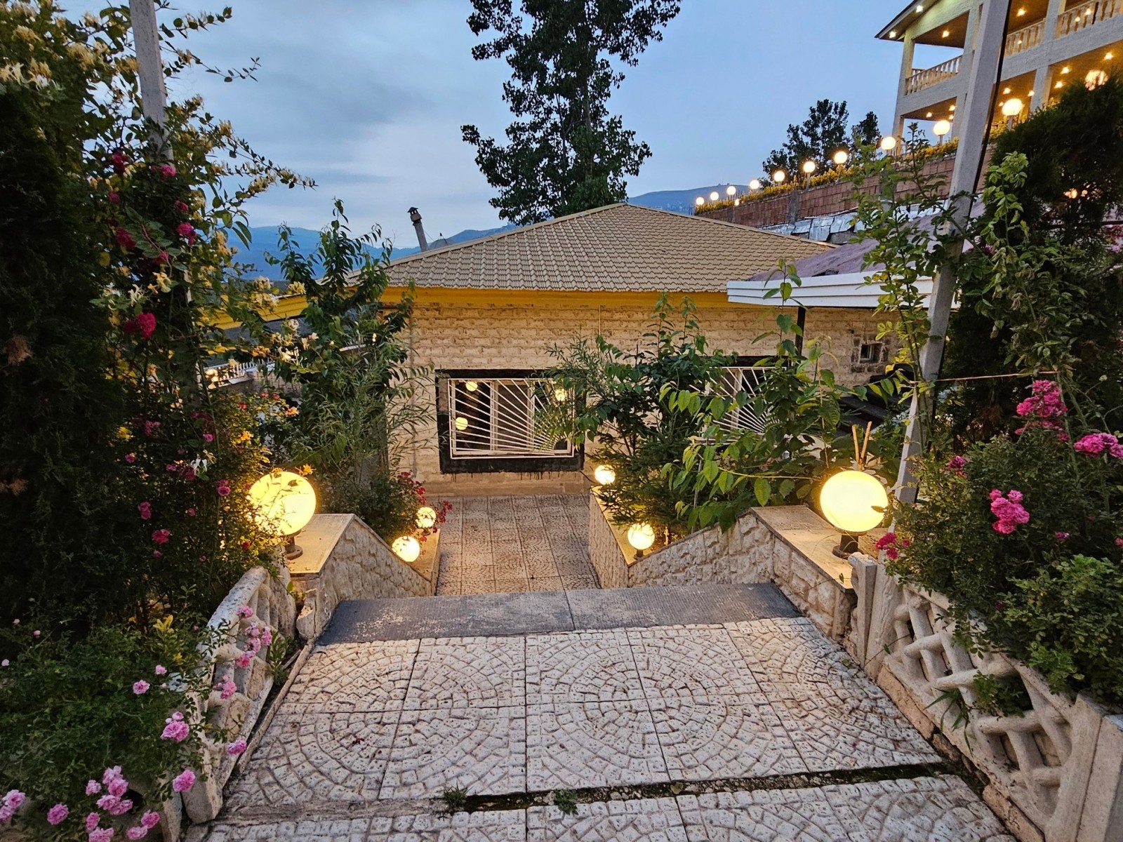 حیاط