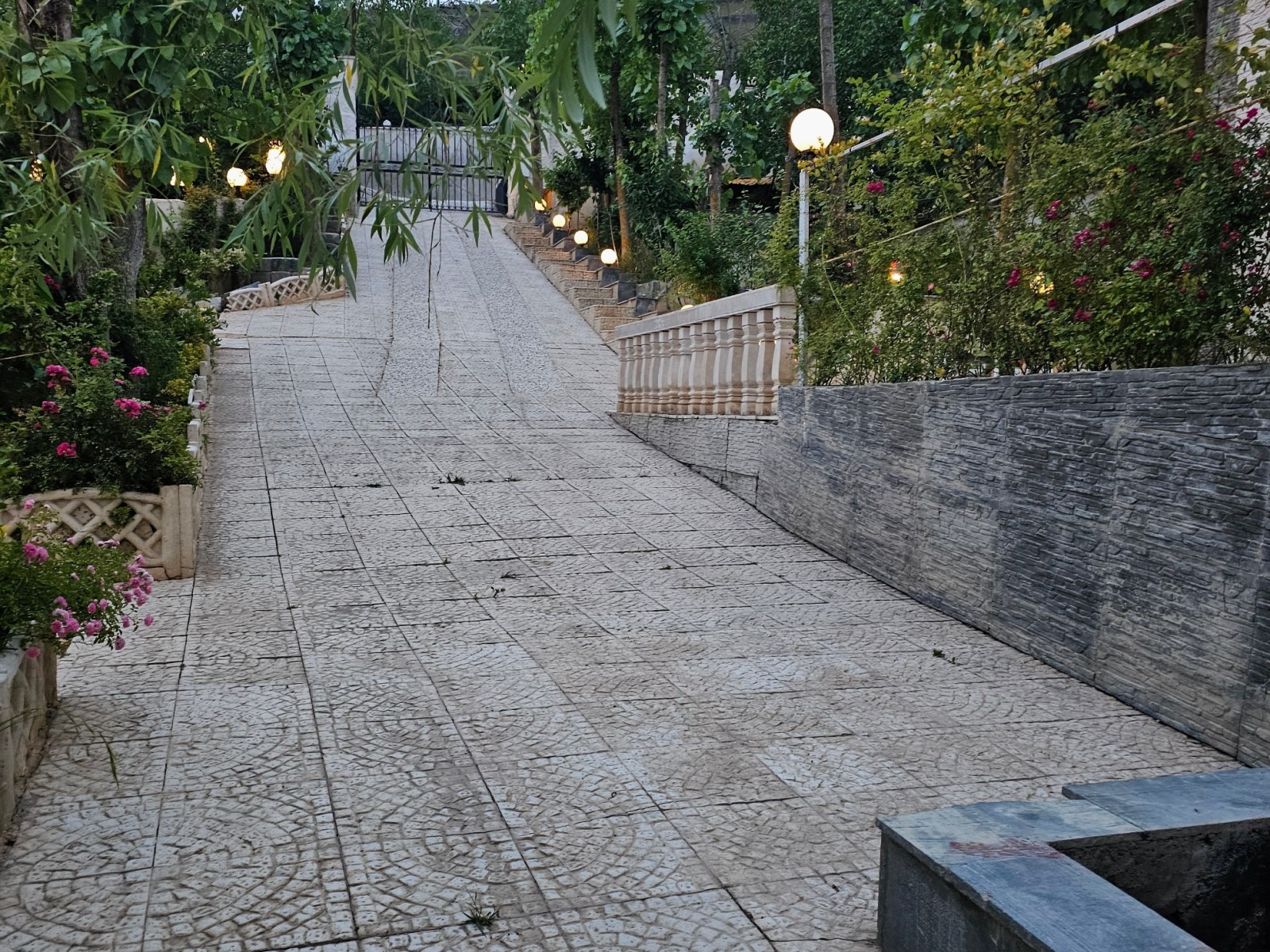 حیاط