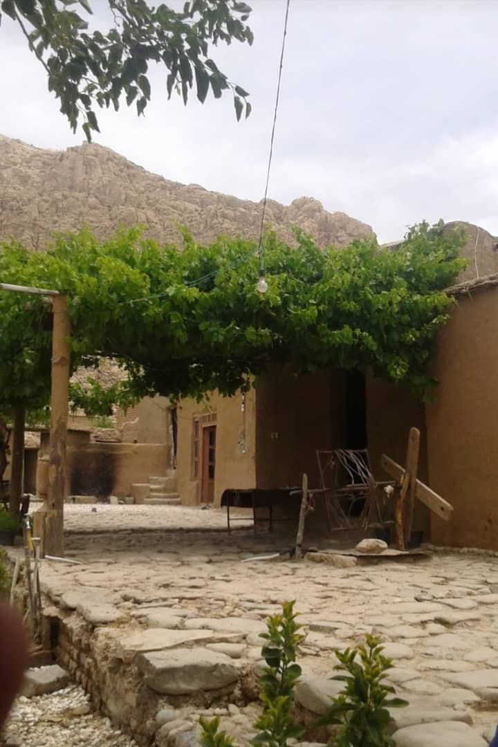 حیاط