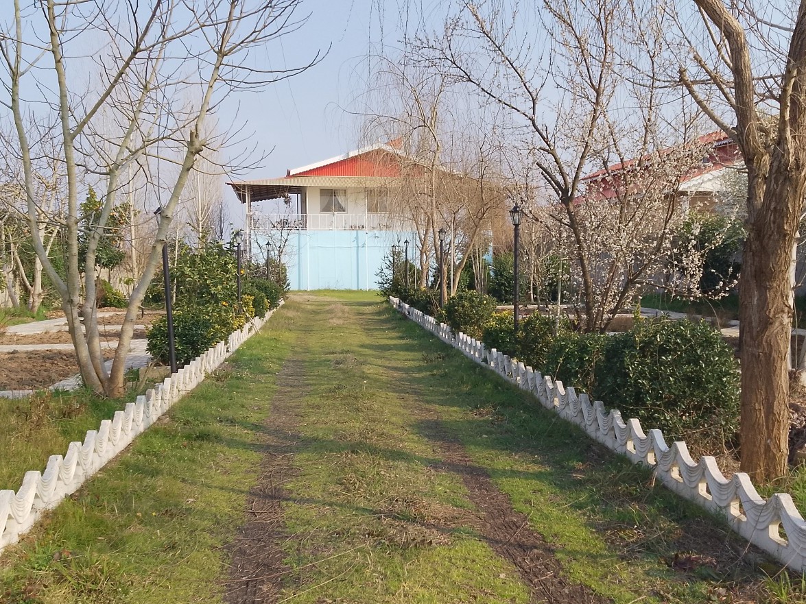 حیاط