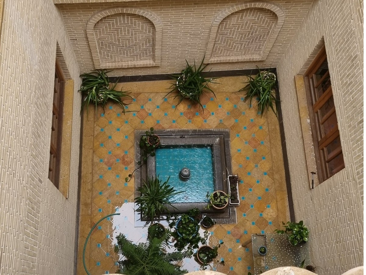 ویو