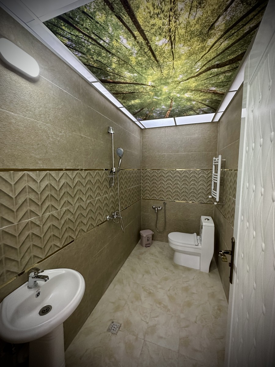 سرویس بهداشتی