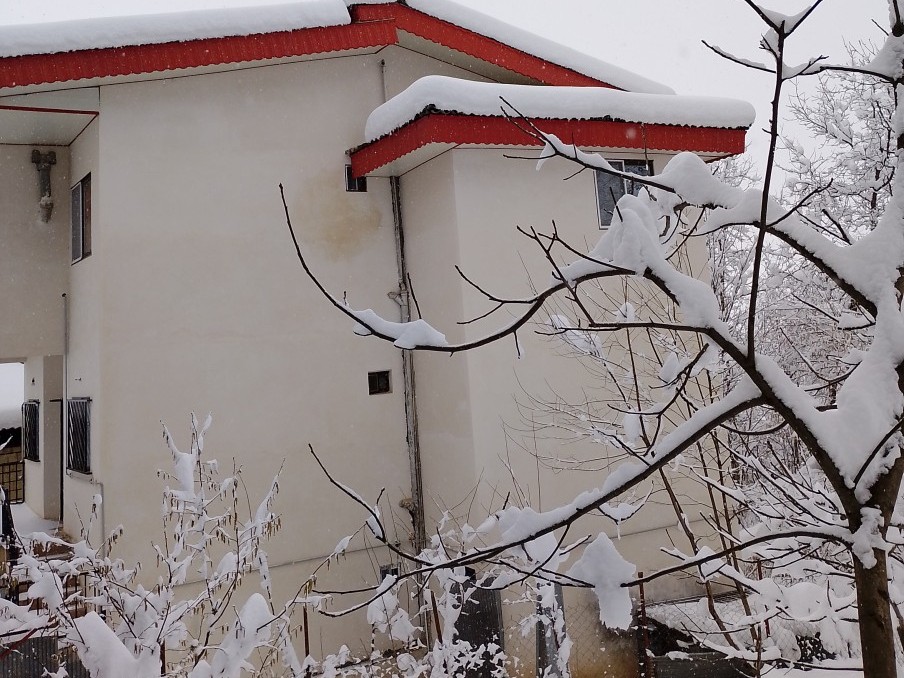 نمای ساختمان