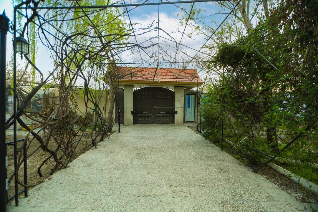 حیاط