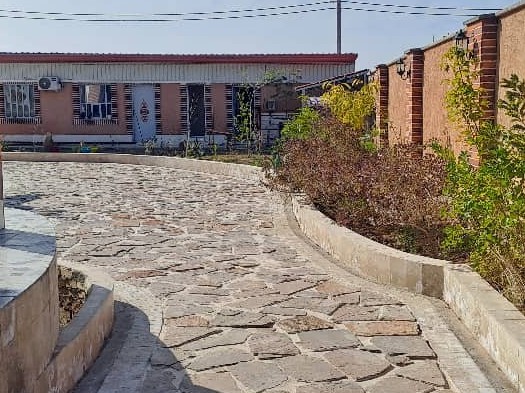 حیاط