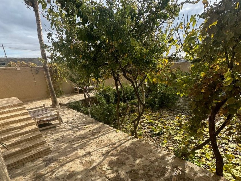 حیاط