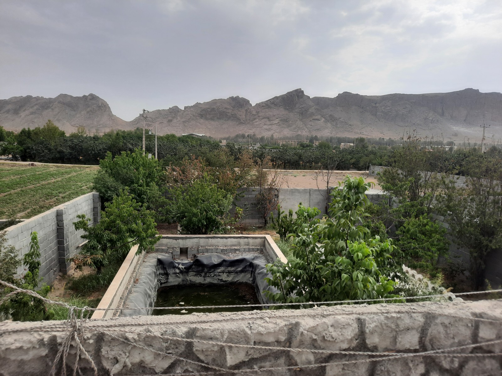 باغ